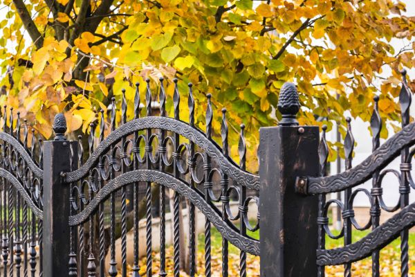 Wrought Iron Fence Washing in Richmond
